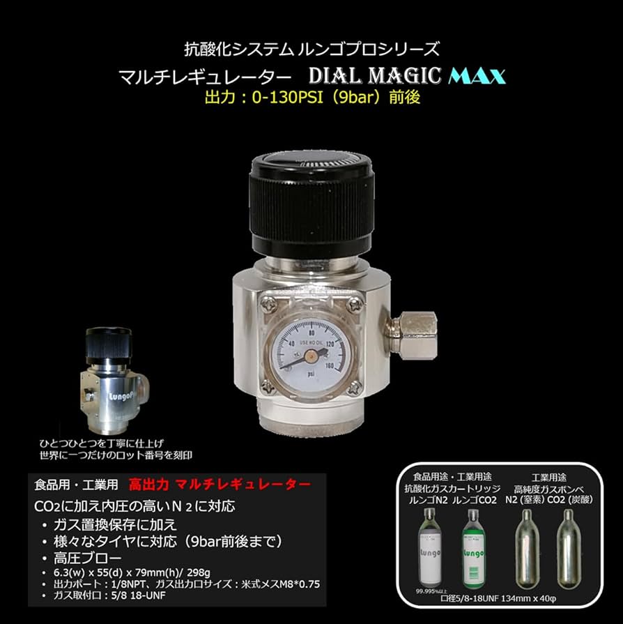 CO2ボンベ 2本セット ステンレス製セット 41vY2sWCQML._AC_UL210_SR210,
